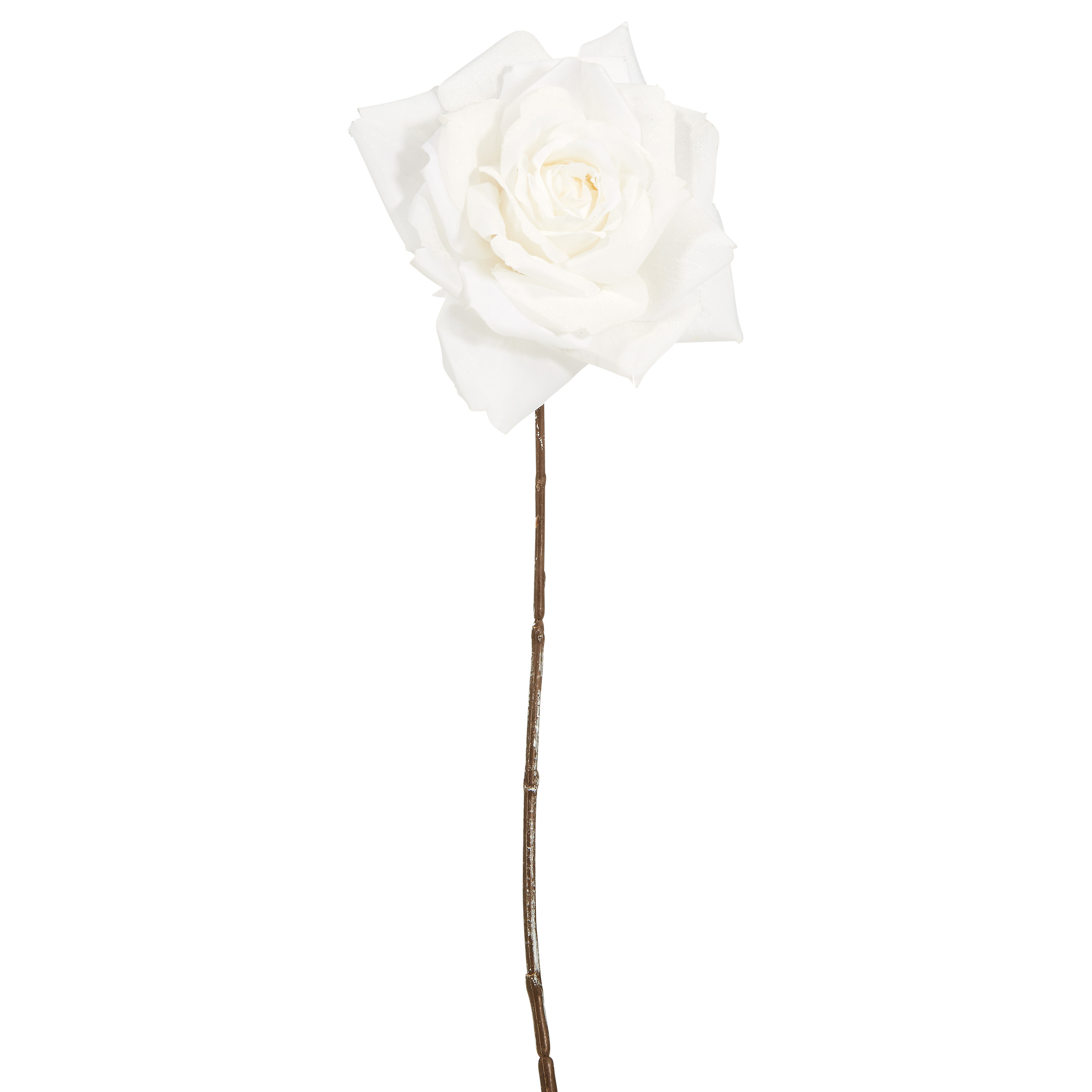 WINTERGREEN Rose Navala