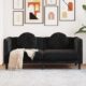 Willood Sofa mit Kissen 2-Sitzer Schwarz Samt, Polstersofa Loungesofa Couch für Wohnzimmer, Designsofa Wohnzimmersofa Sitzmöbel, Modern